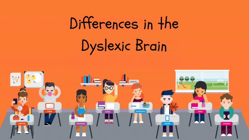 differences-in-the-dyslexic-brain-lexercise