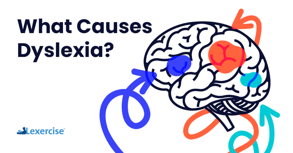 What Causes Dyslexia? - Lexercise